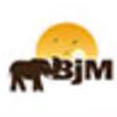 BJM Tours and Sagari review